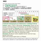 Schlangengurke (Bio) Telegraph Improved