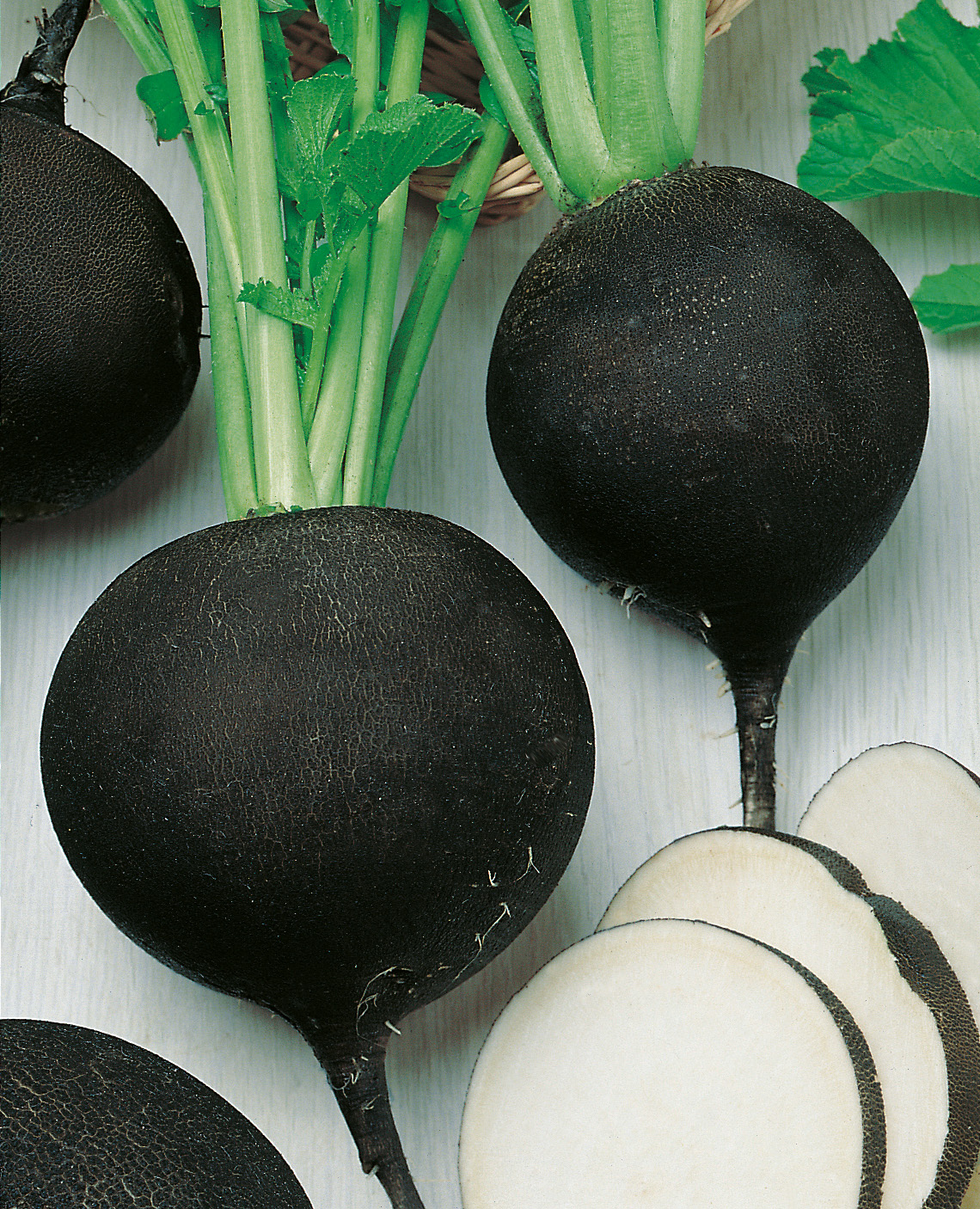 Rettich (Bio) Runder Schwarzer