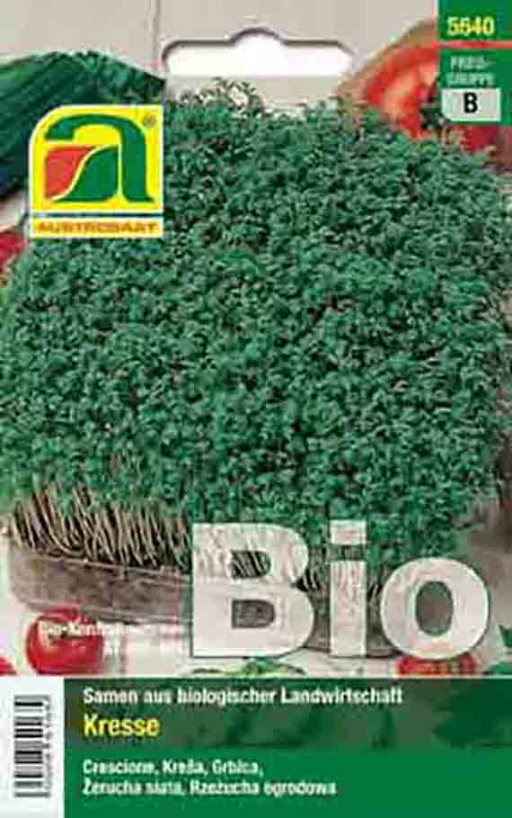 Gartenkresse (Bio) Einfache