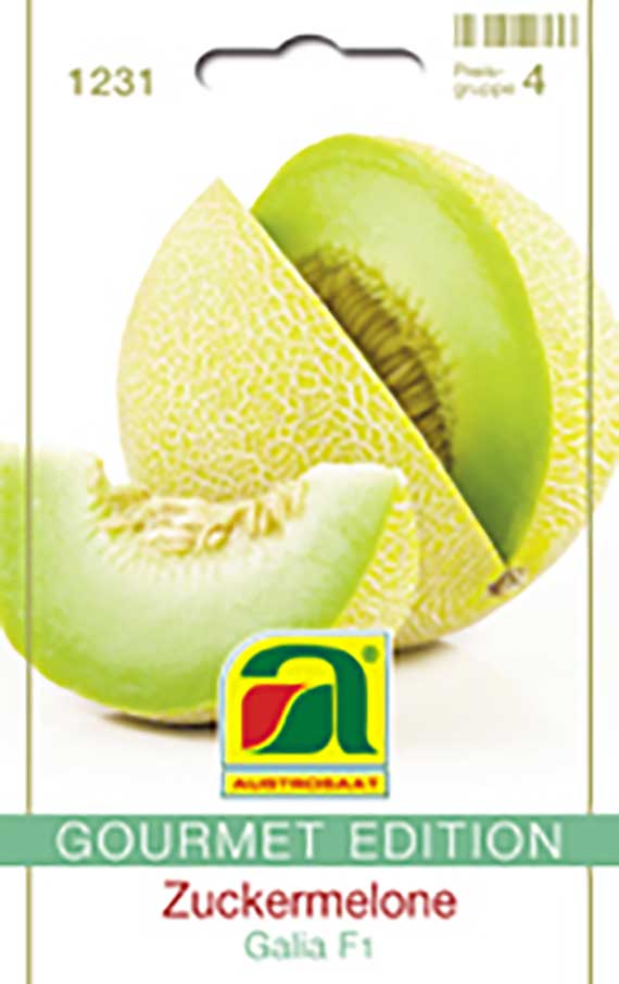 Zuckermelone Galia F1