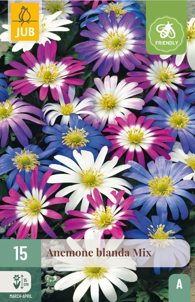 Anemonen blanda Mischung