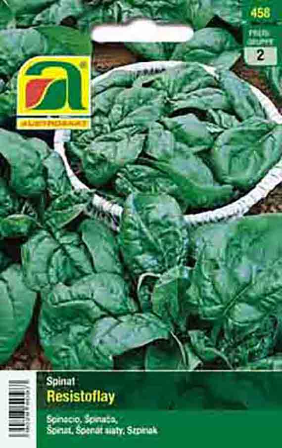 Spinat Resistoflay