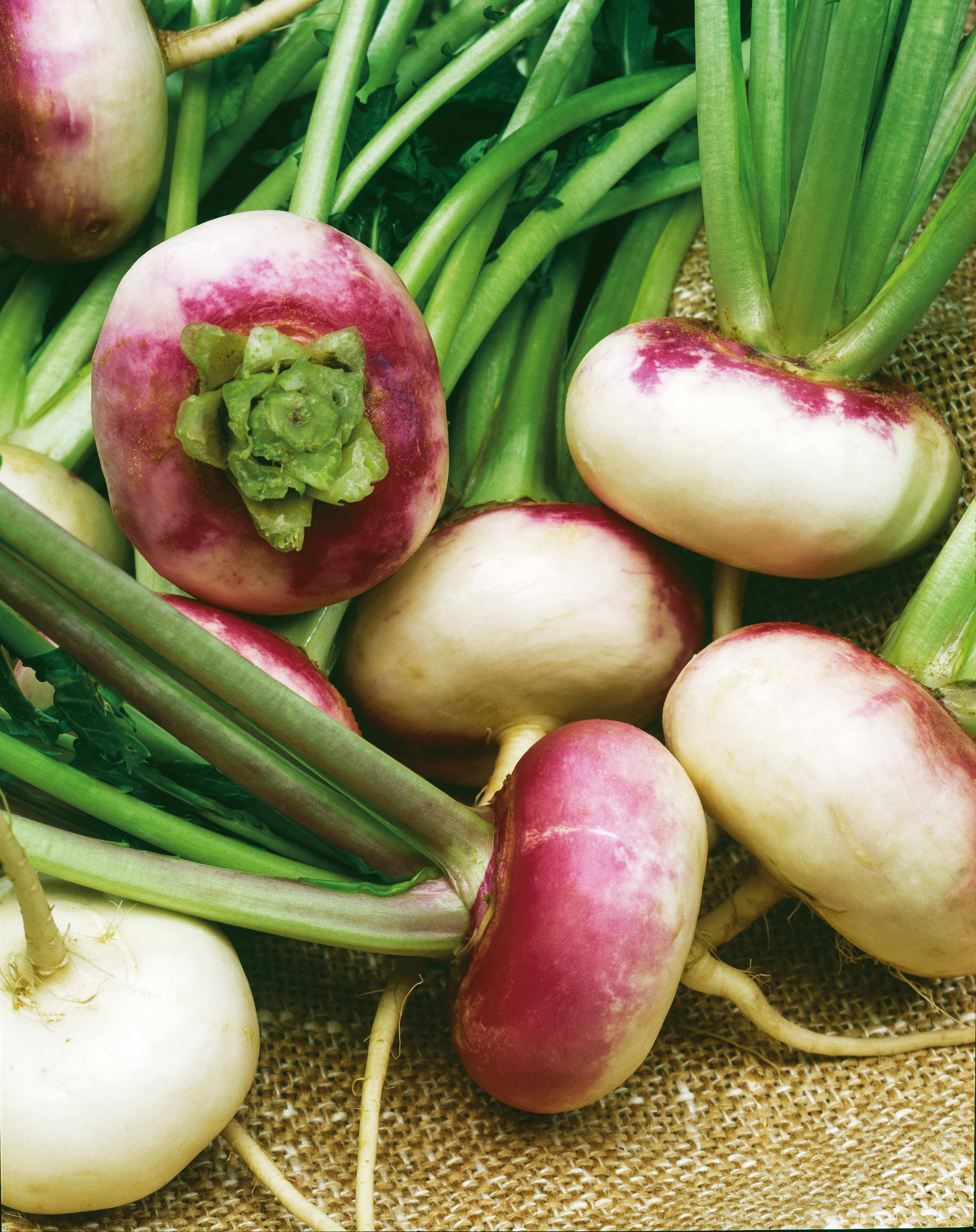 Herbstrüben Runde Weiße, Rotköpfige