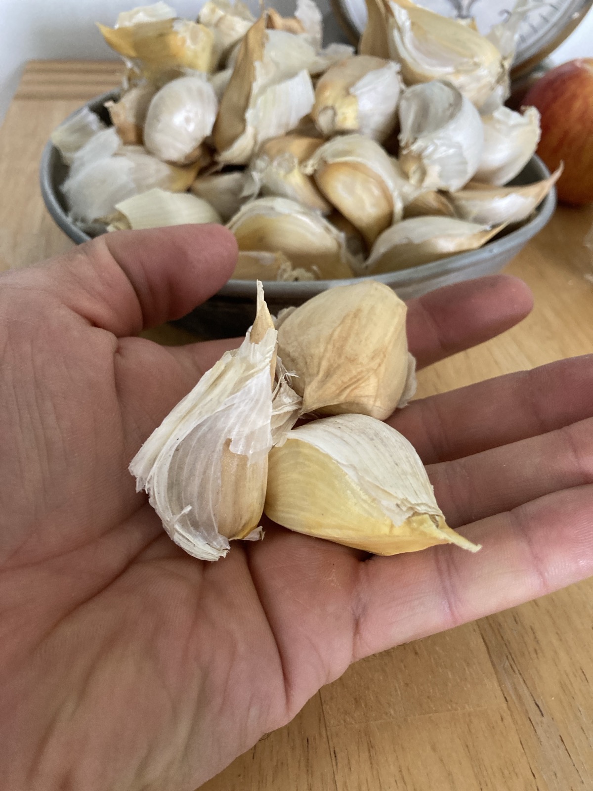 Ungarischer Elefantenknoblauch Einzelzehen