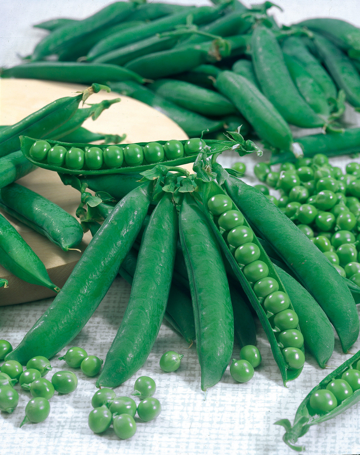 Schalerbsen Kleine Rheinländerin