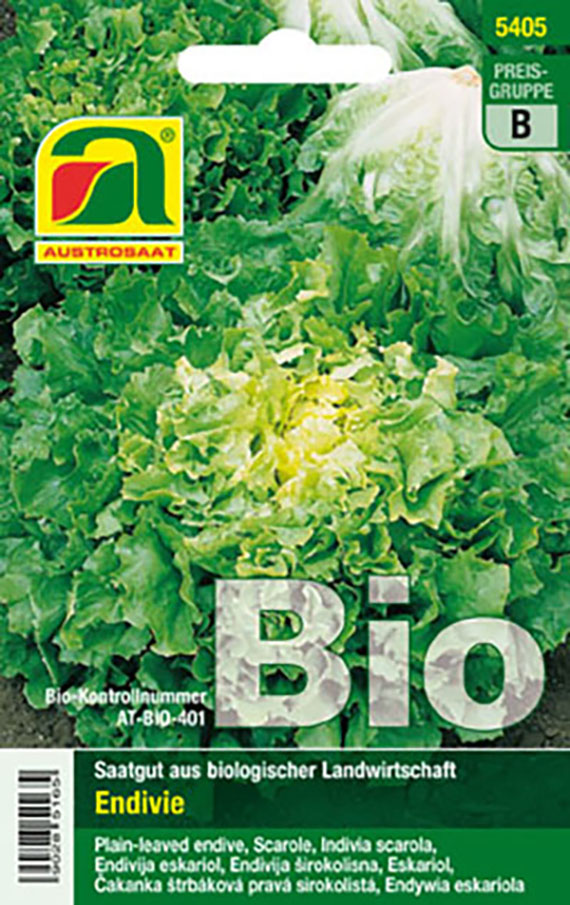 Endivie (Bio) Endivie Nummer Vijf 2