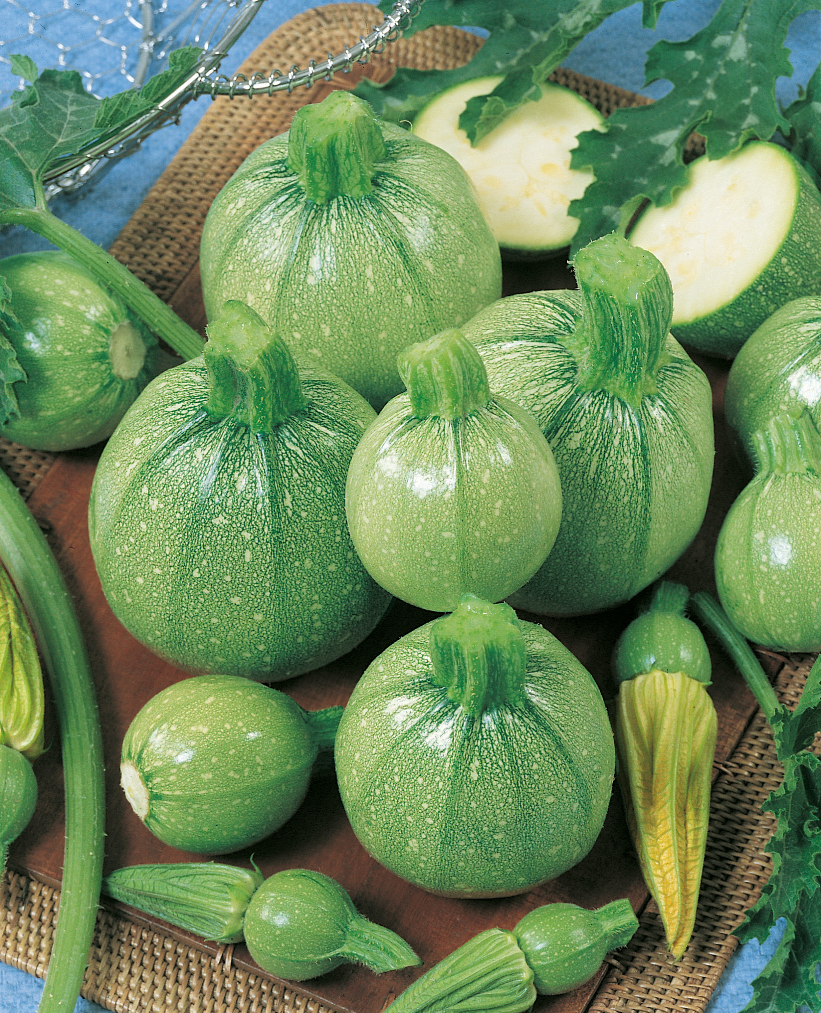 Kugel-Zucchini Tonda Chiara di Toscana