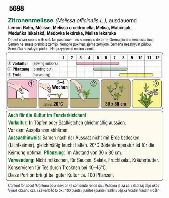 Zitronenmelisse,Bio mehrjährig