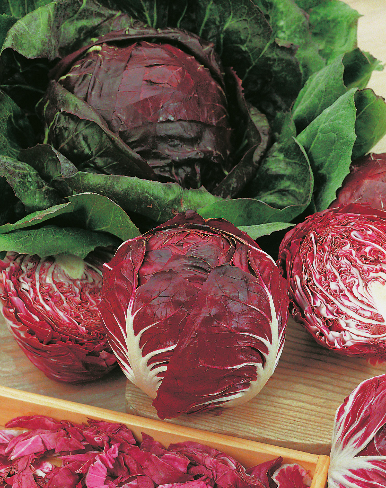 Radicchio Palla Rossa