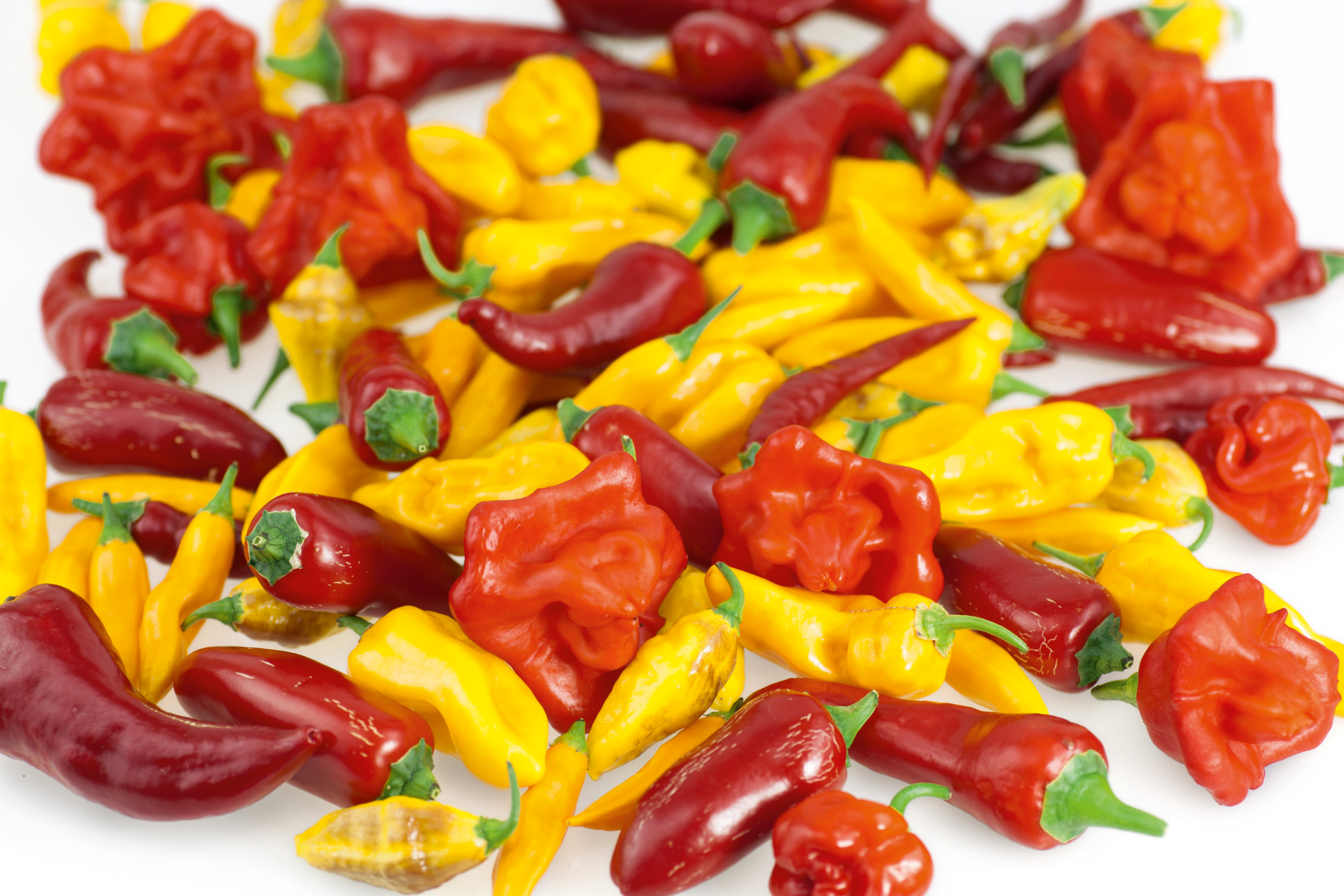 Gewürzpaprika Chili und Habanero Mischung