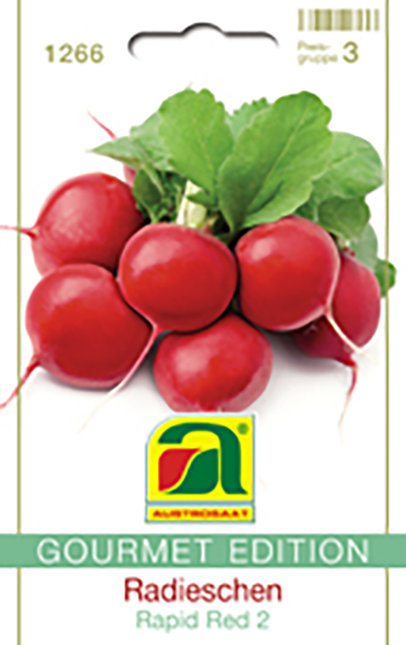 Radies Rapid Red 2