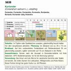 Koriander (Bio)