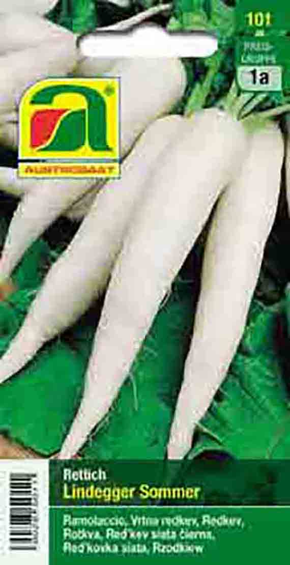 Rettich Lindegger Sommer