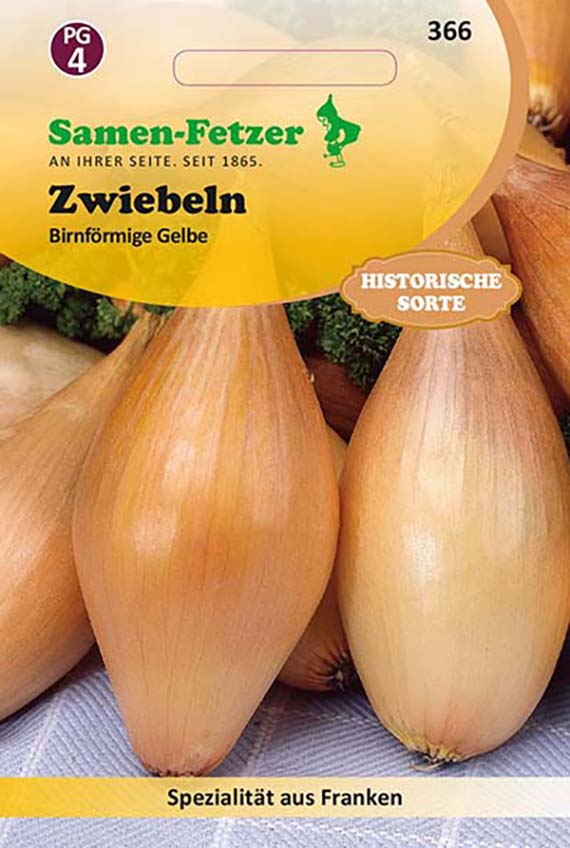 Zwiebelsamen Birnenförmige