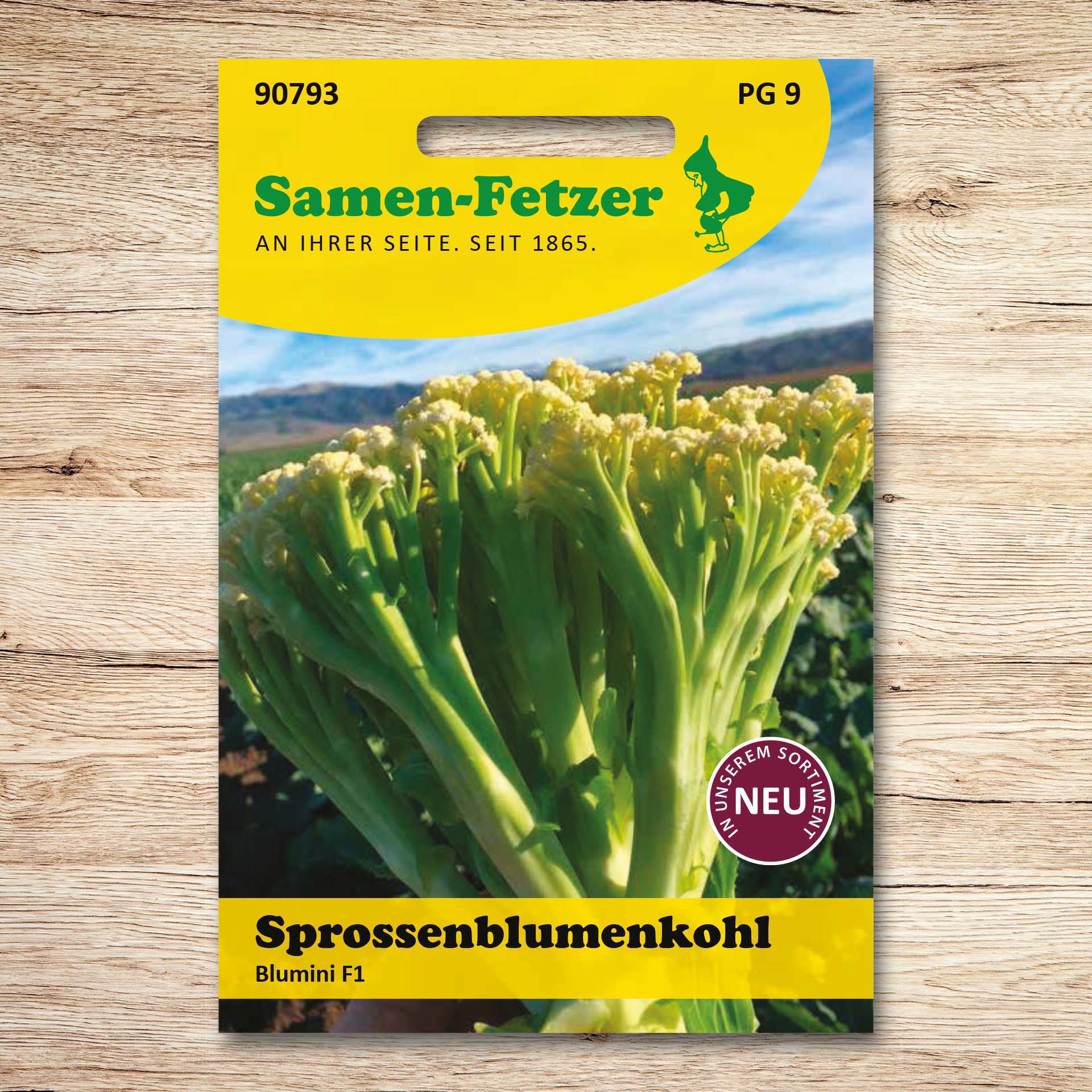 Blumenkohl Blumini CF 2279 F1