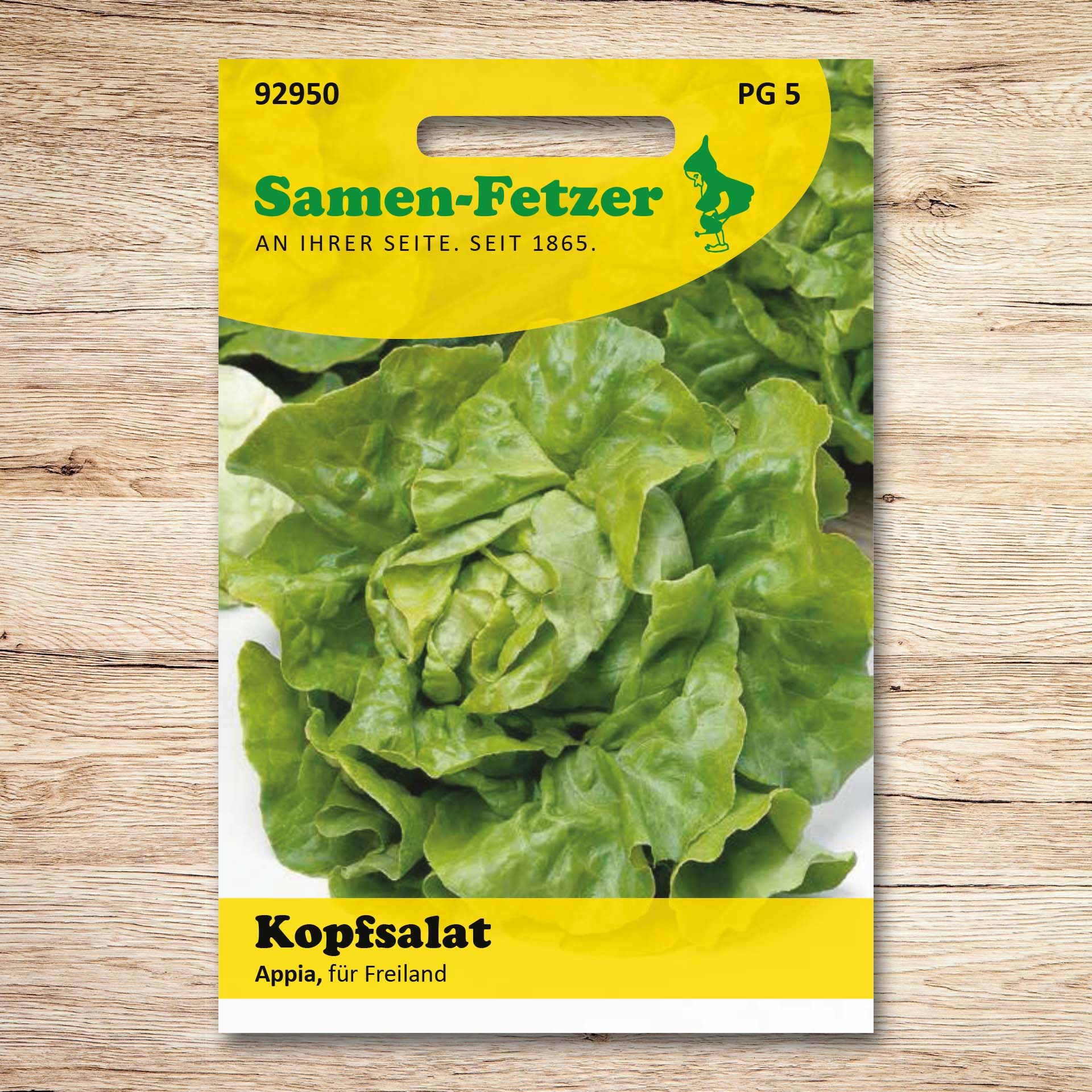 Kopfsalat Appia