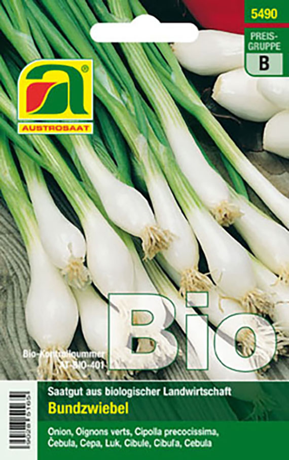 Bundzwiebeln (Bio) Witte van Lissabon