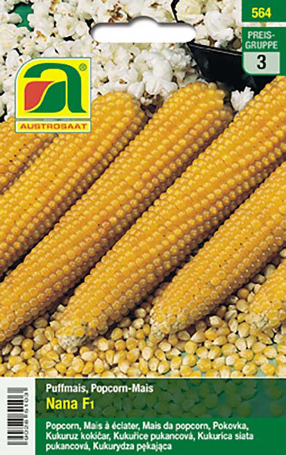 Popcornmais Puffmais Nana F1