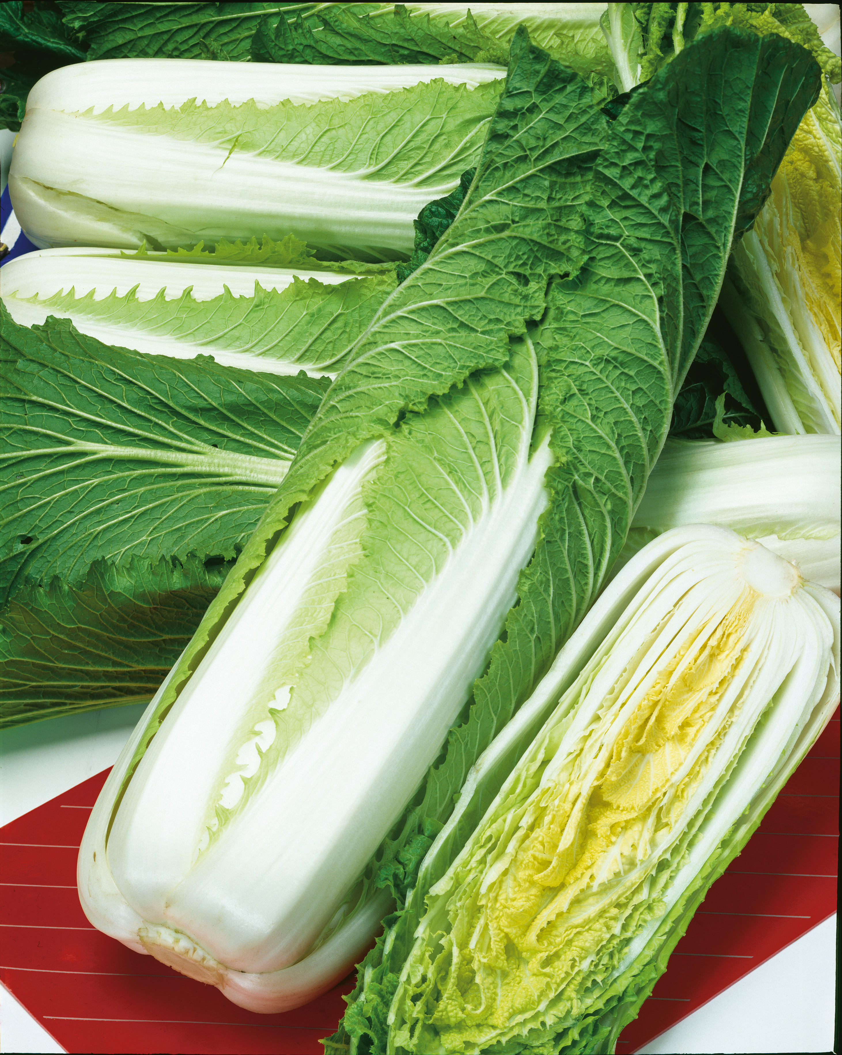 Chinakohl (Bio) Granaat