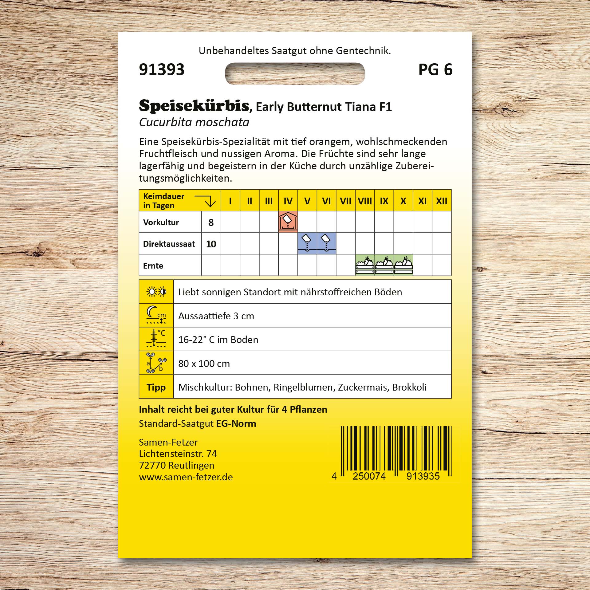 Speisekürbis Early Butternut Tiana F1