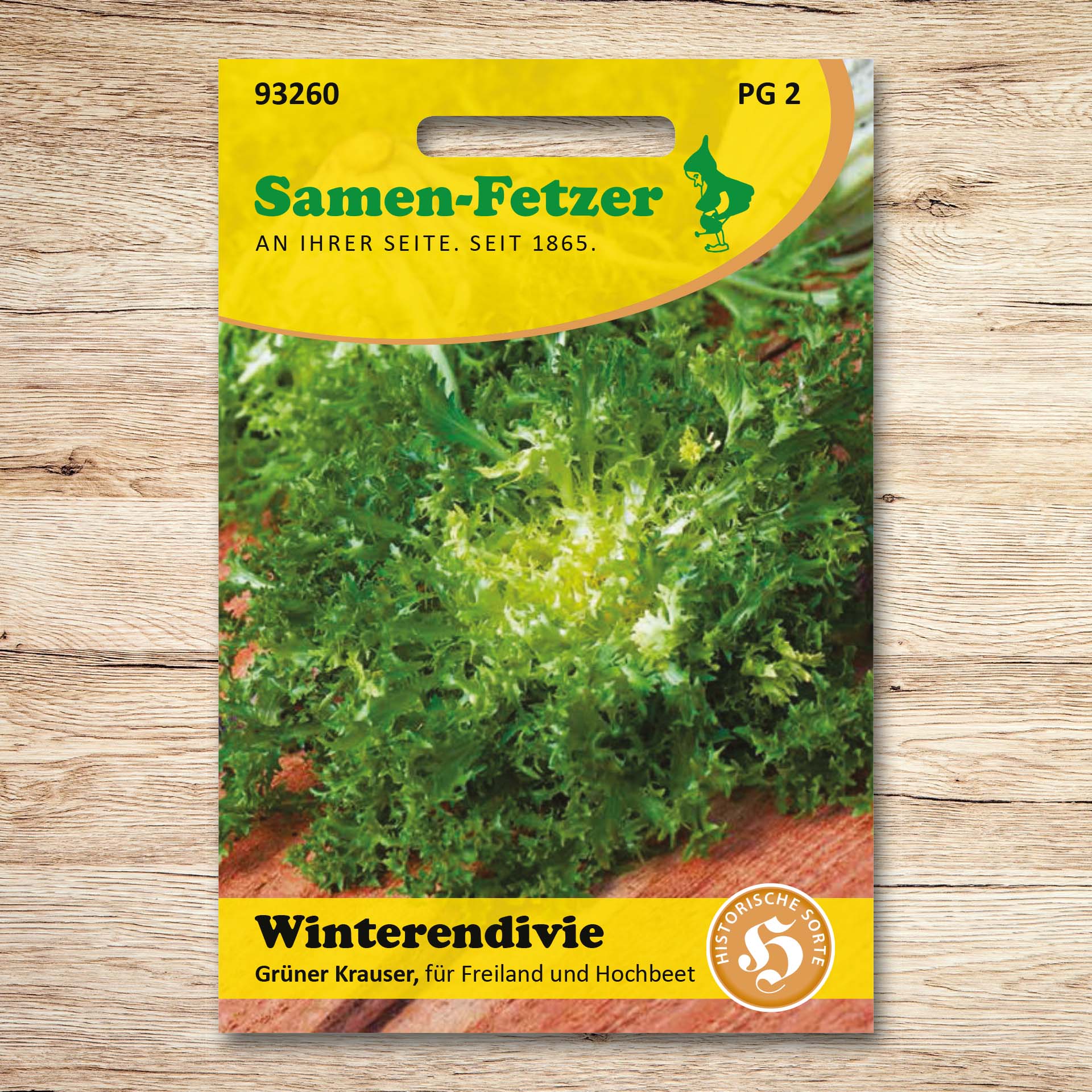 Winterendivien Grüner Krauser