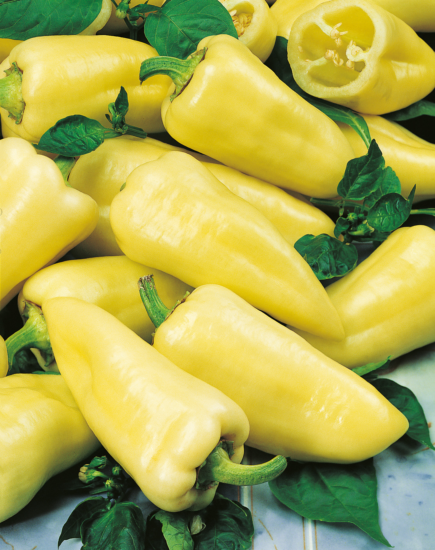 Paprika Pusztagold