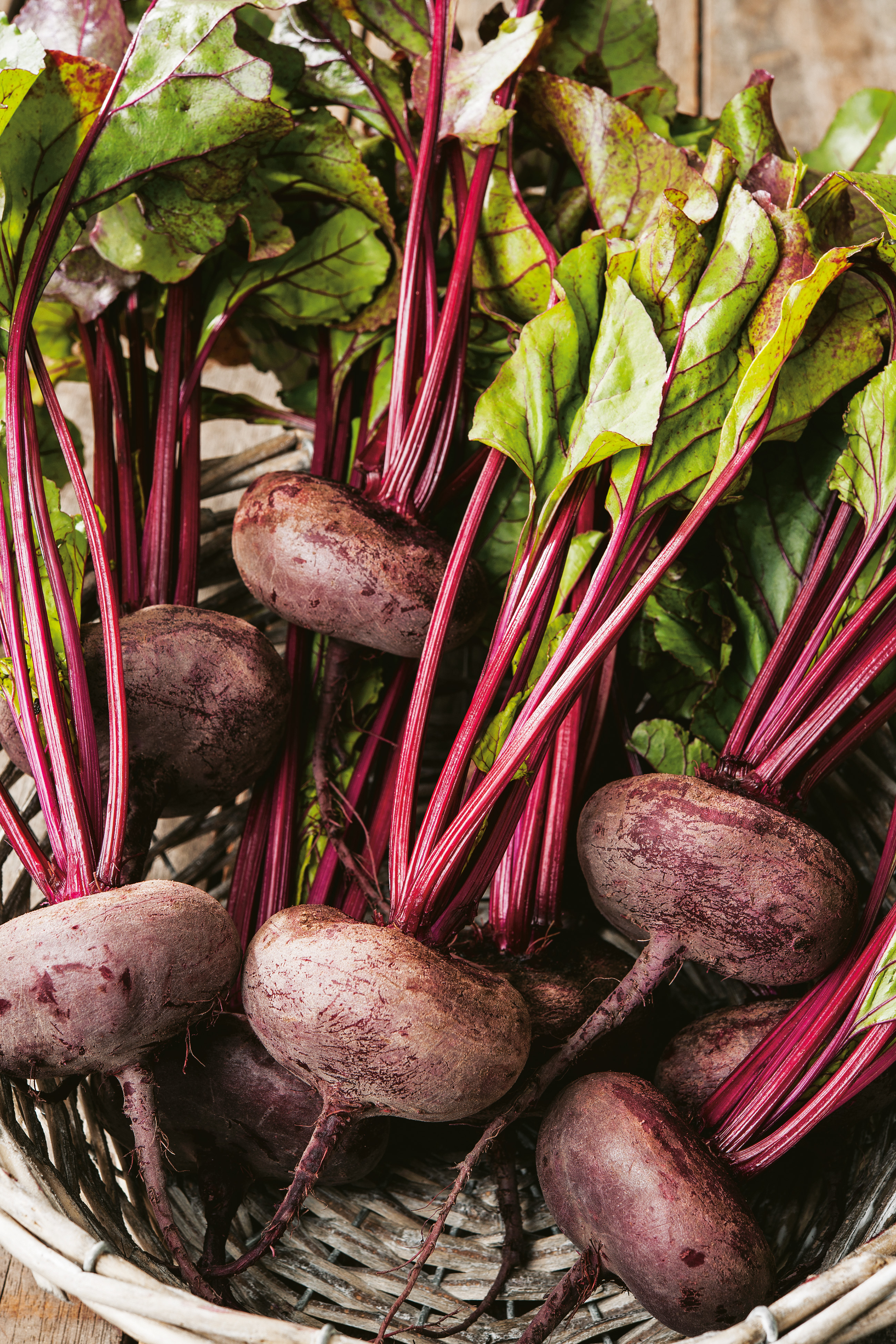 Rote Bete Ägyptische