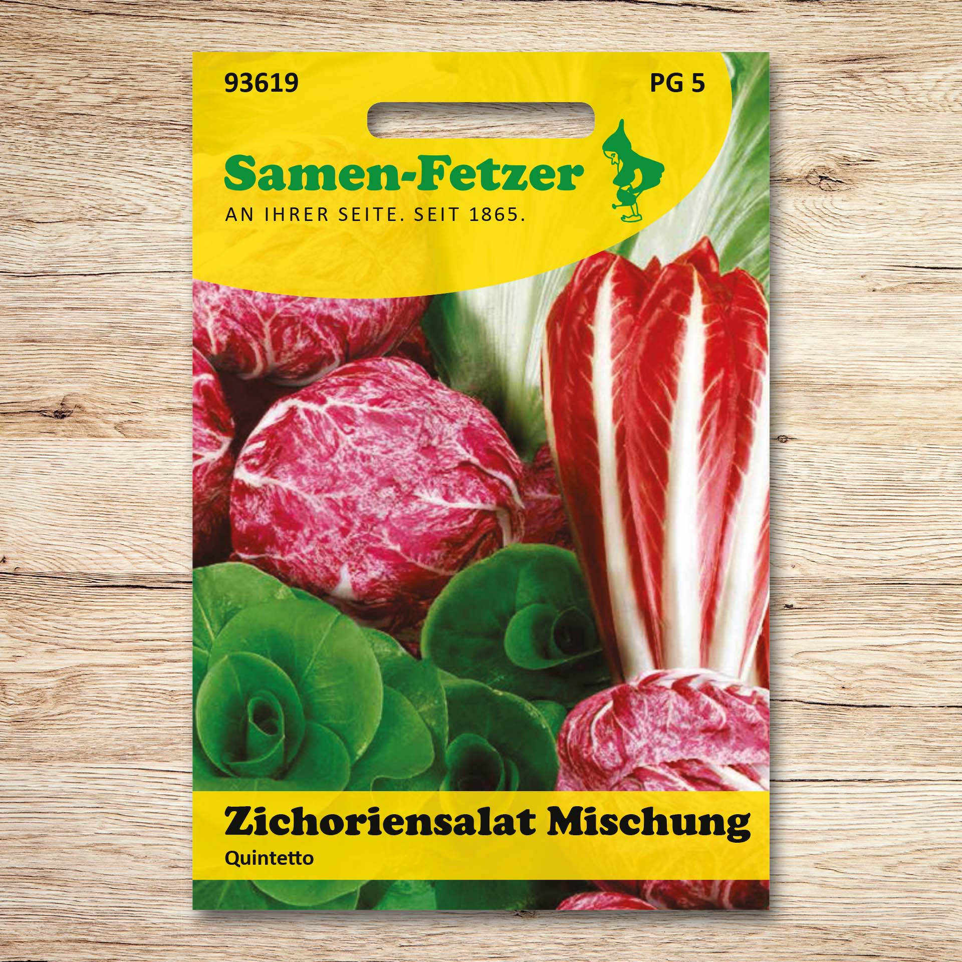 Zichoriensalat Quintetto Mischung