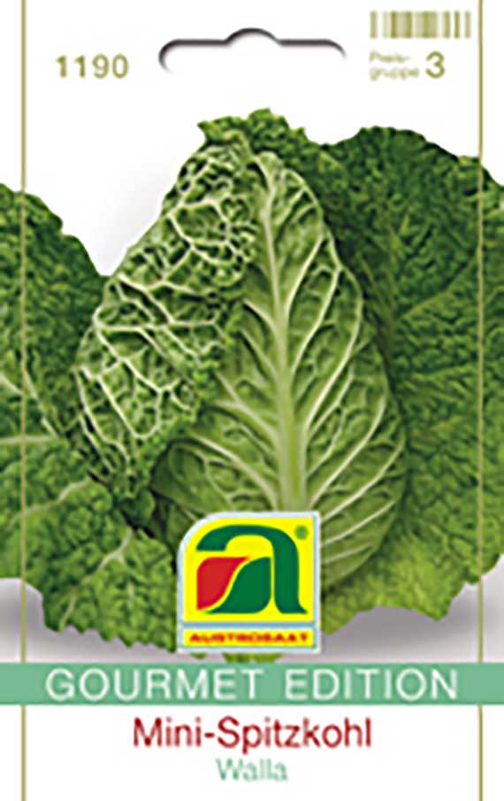 Mini-Spitzkohl Walla