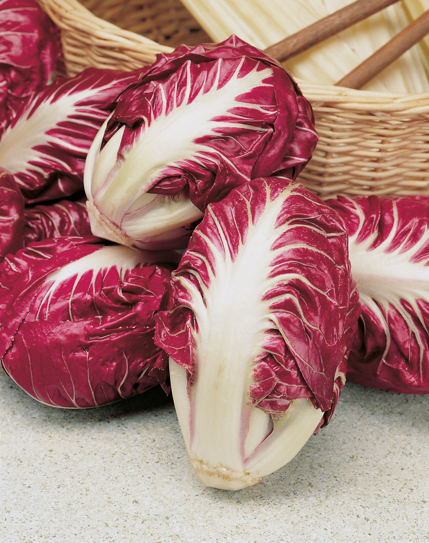 Zichoriensalat Roter von Verona