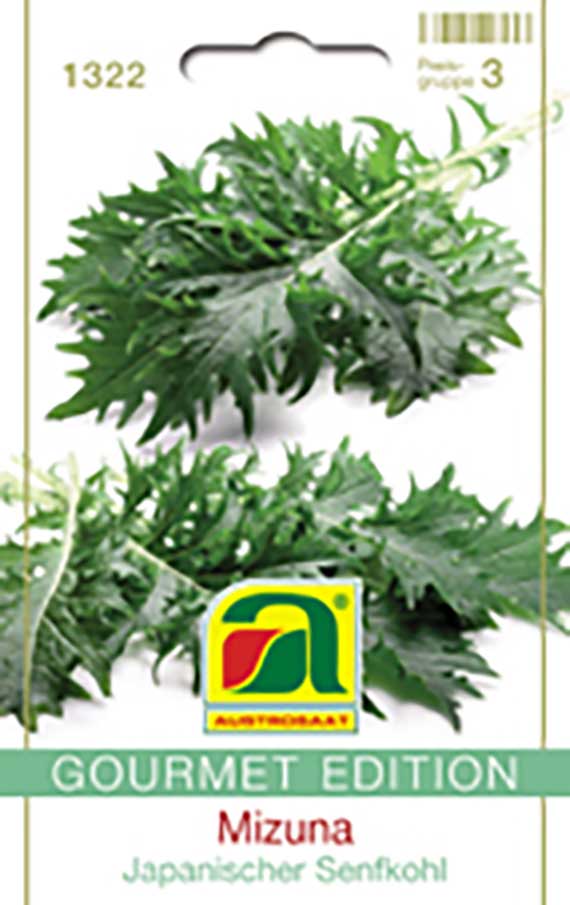 Mizuna Grün Japanischer Senfkohl