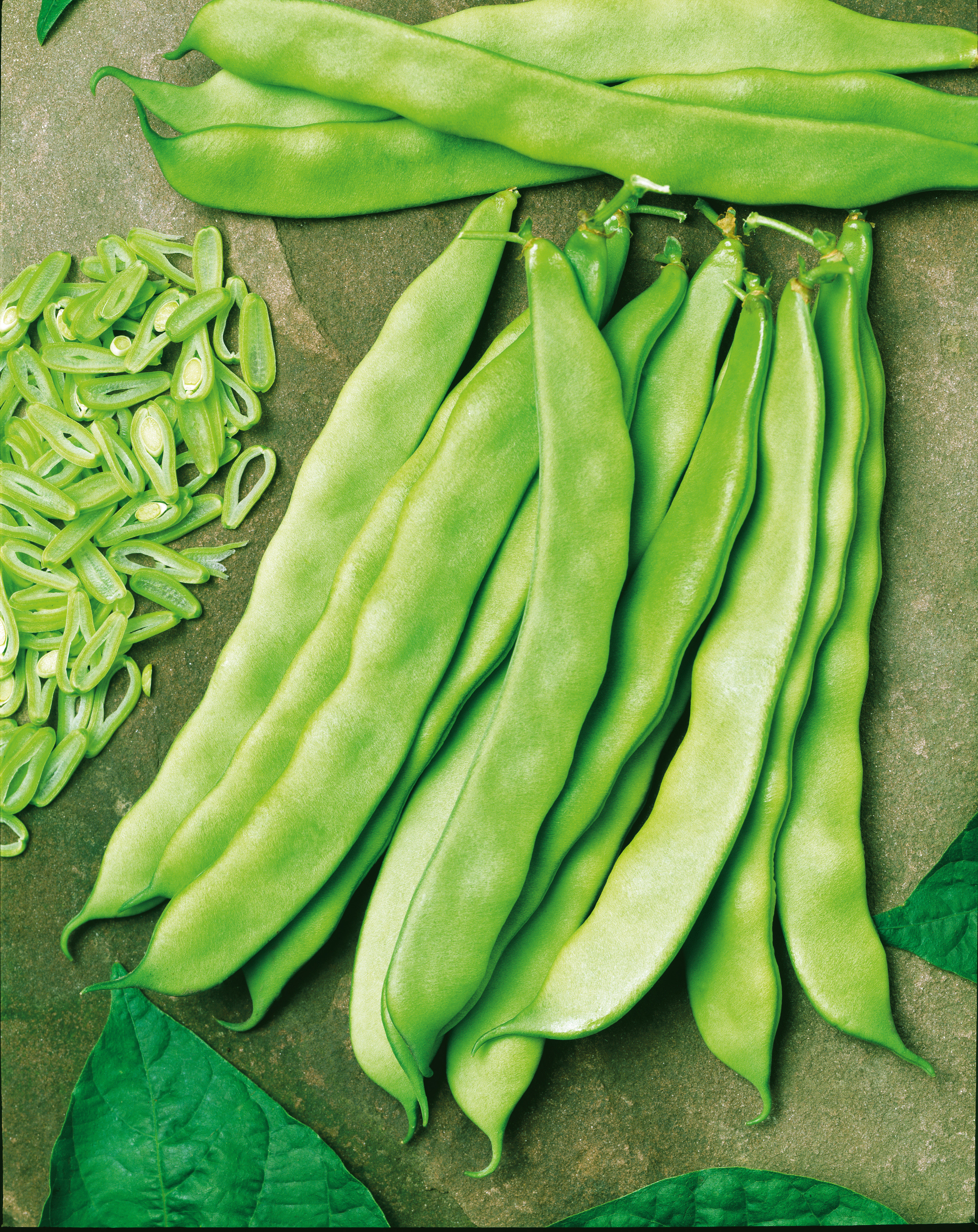 Buschbohnen Pfälzer Juni