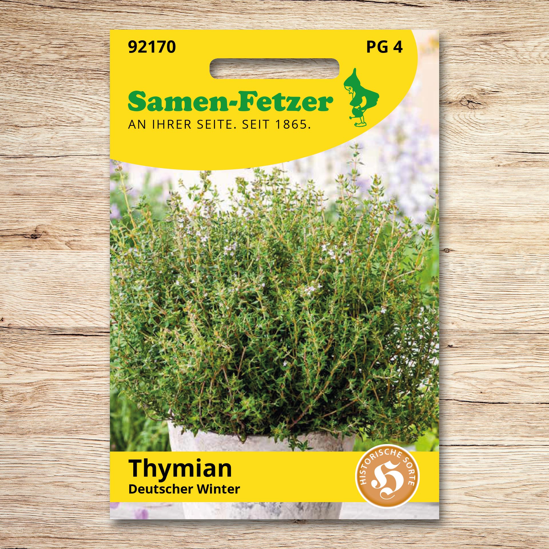 Thymian Deutscher Winter, einjährig