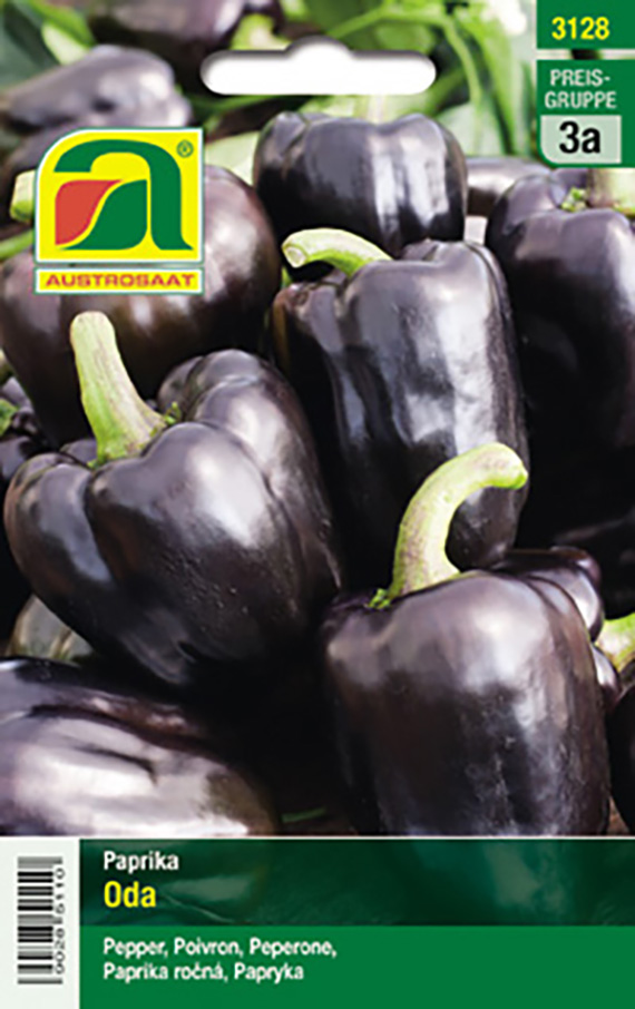Paprika Oda, Violett