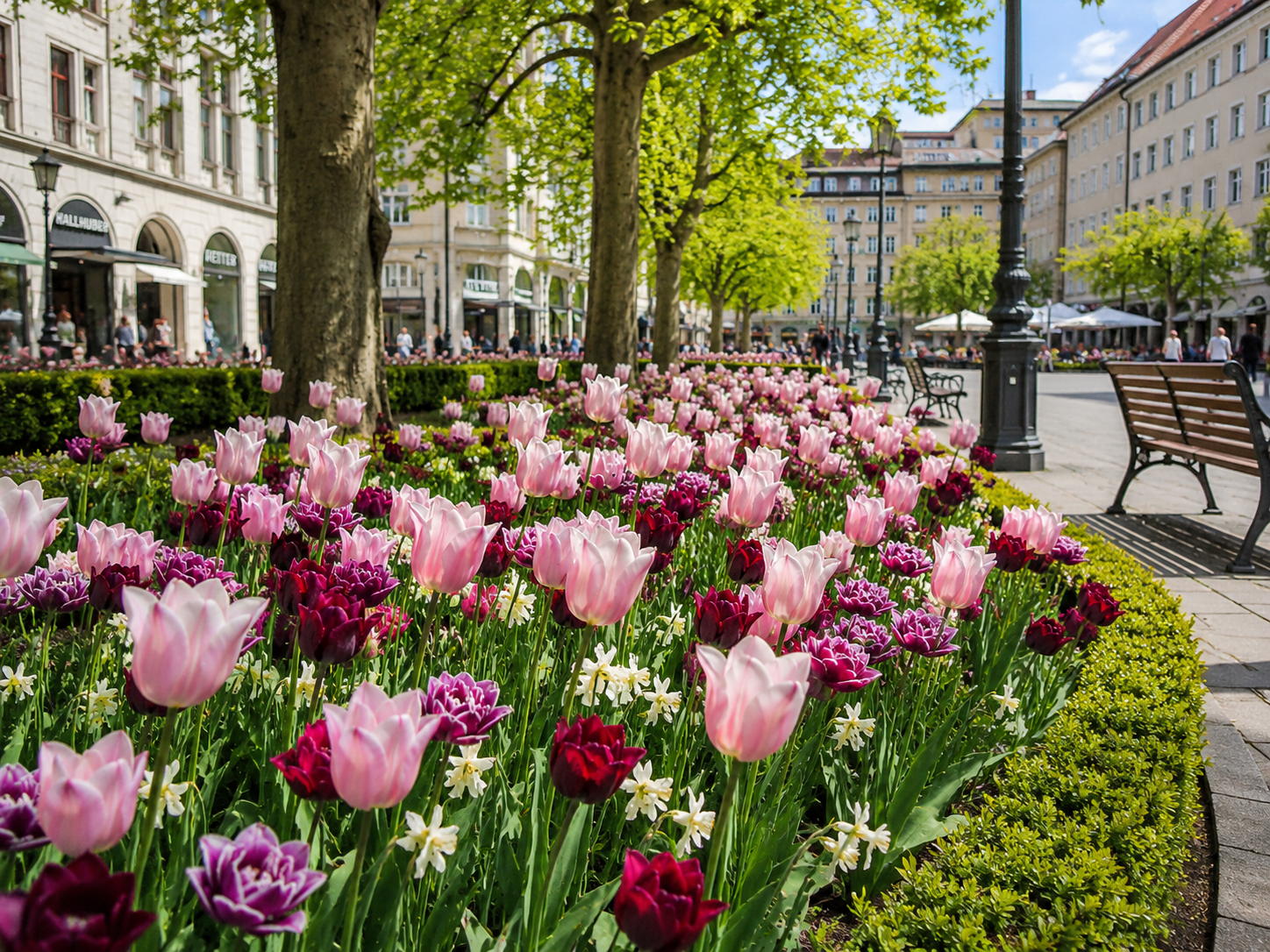 Blumenzwiebel-Mischung Burgundertraum