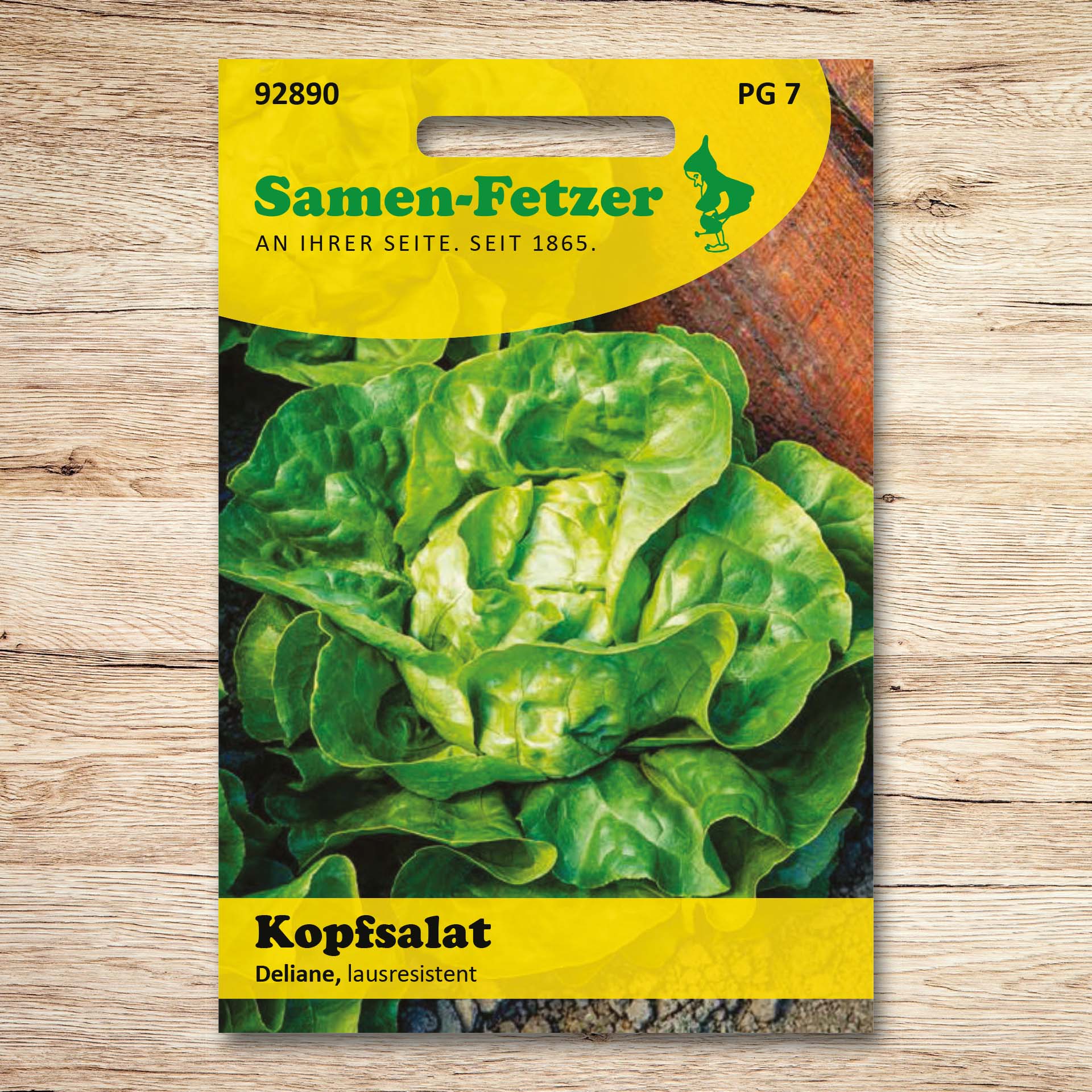 Kopfsalat Deliane
