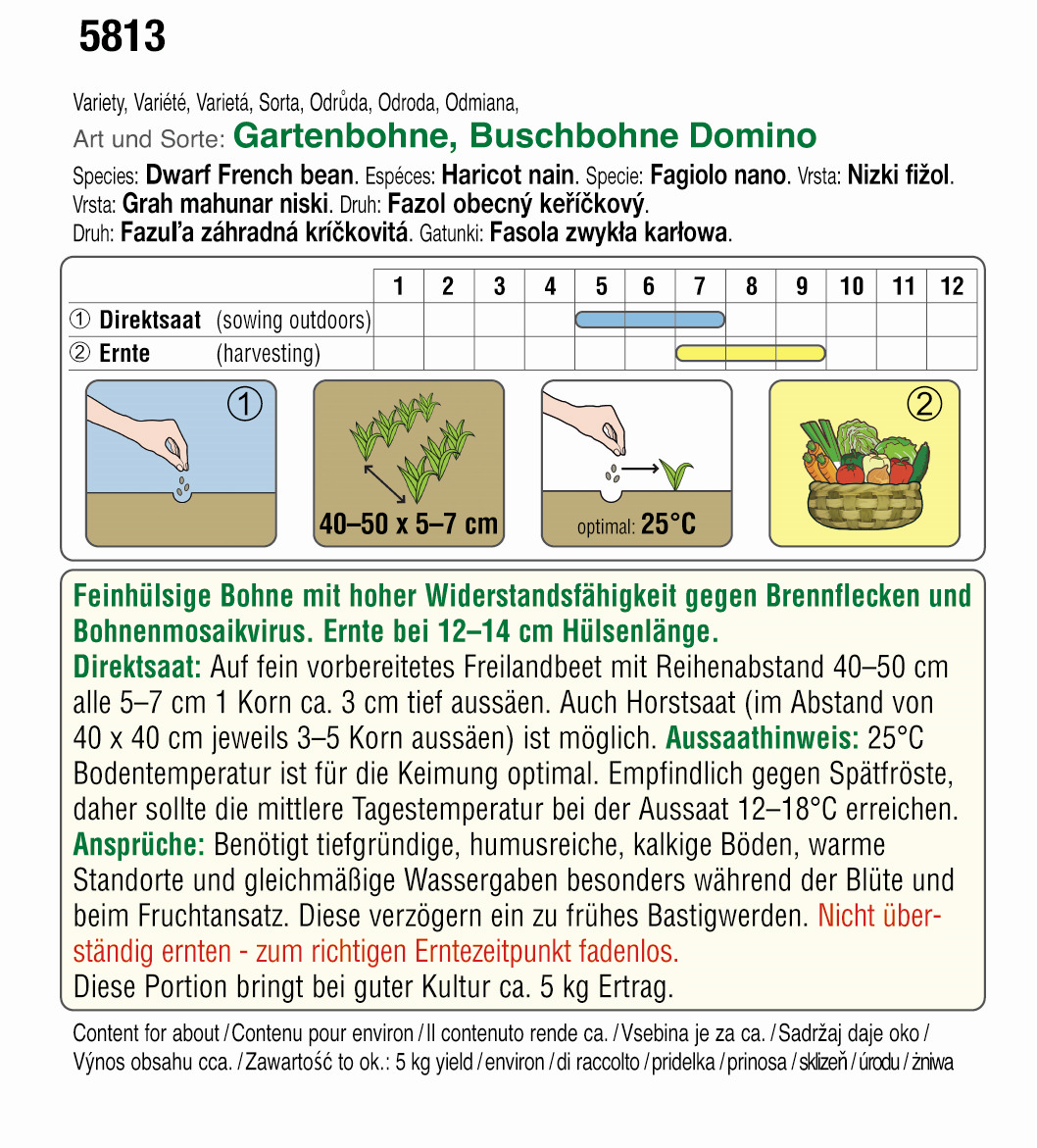 Buschbohne (Bio) Domino